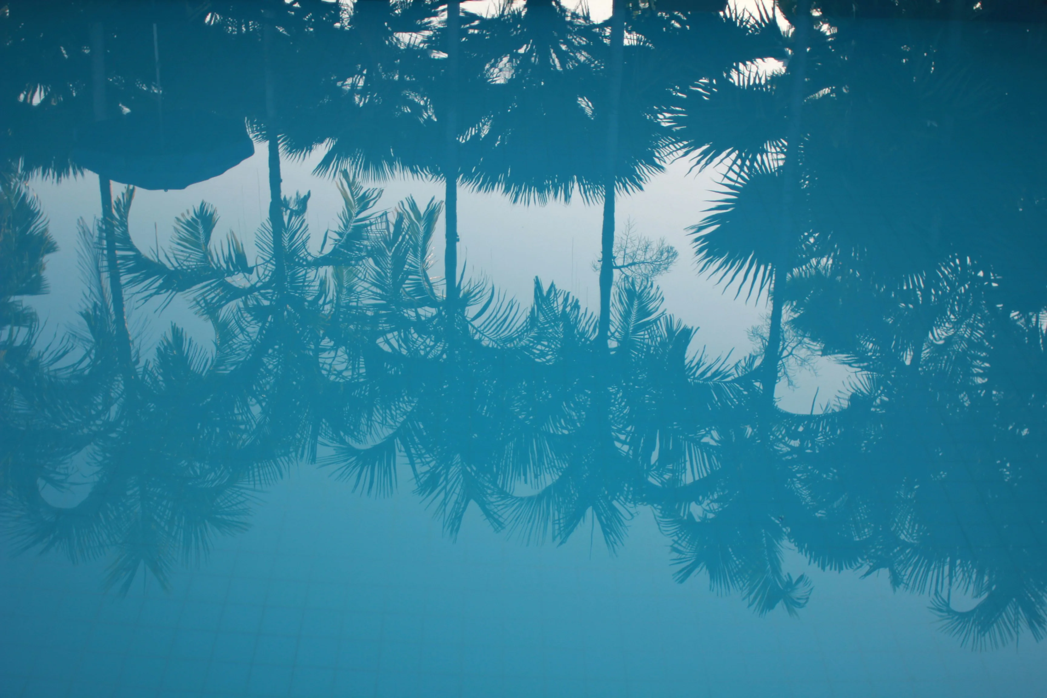 Reflet dans l'eau d'une piscine - Pisciniste Brest Finistère